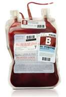 blood kempen